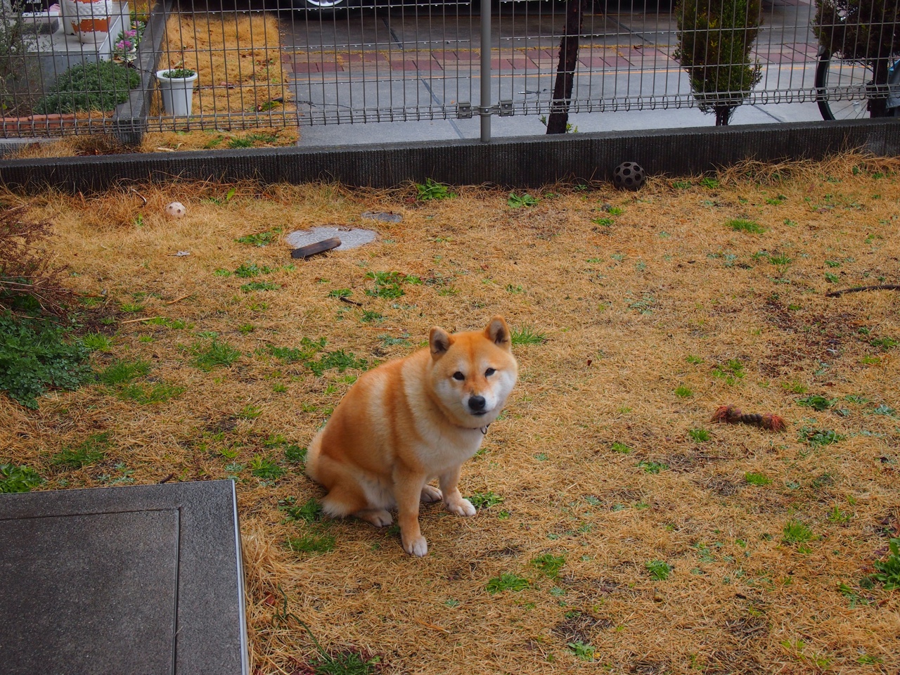 2025全球电竞冠军赛精彩落幕, chinese teams夺冠,全球电竞总决赛冠军