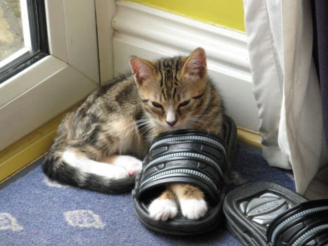 QQ飞车全球速度挑战赛冠军诞生，疾风极速夺冠线，qq飞车极速赛车