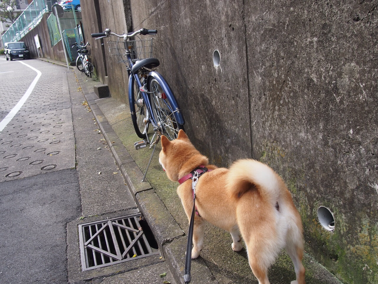 NBA官方宣布新季赛程，精彩赛事纷纷到来，nba新赛季全部赛程