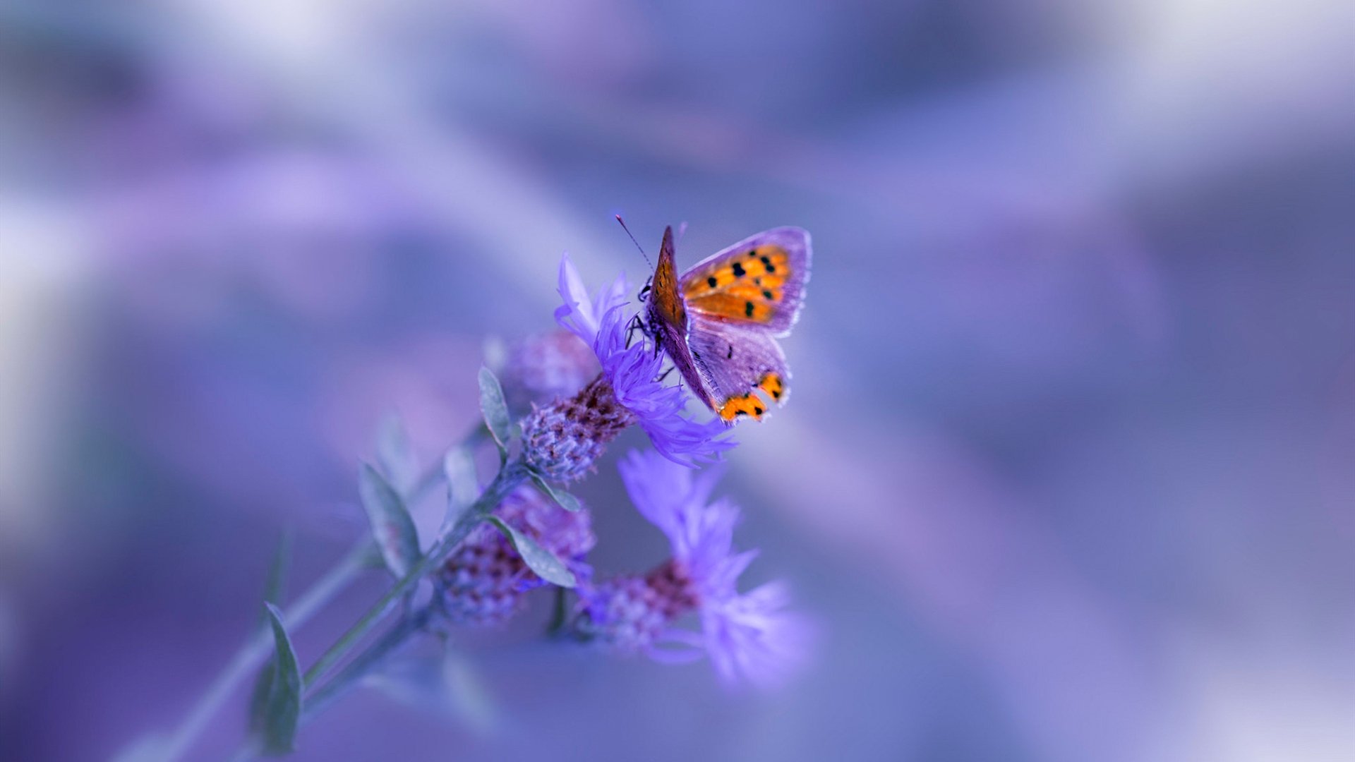 爱游戏中国官方网站平台-_未来运动教育：创新课程激发潜能_，未来运动主题乐园