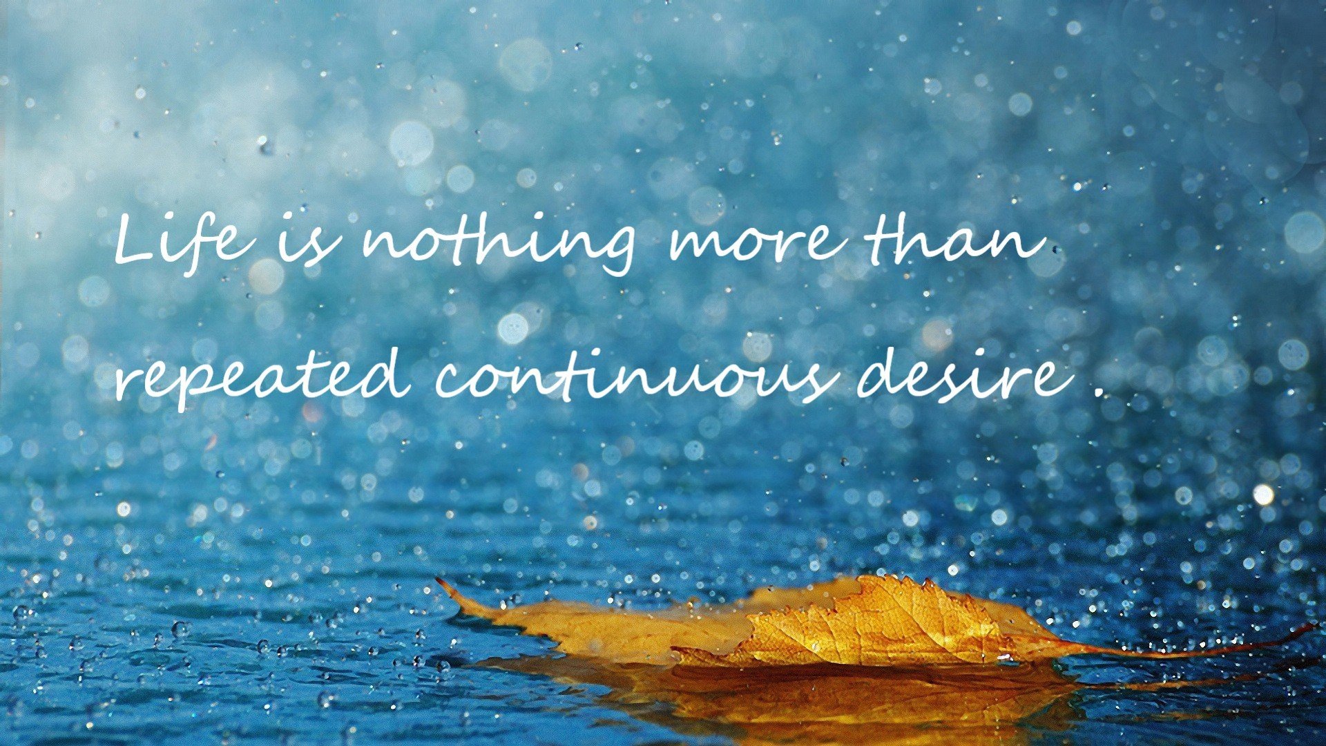 _田径与网球结合：创新跨界赛事引发关注_，田径与球类