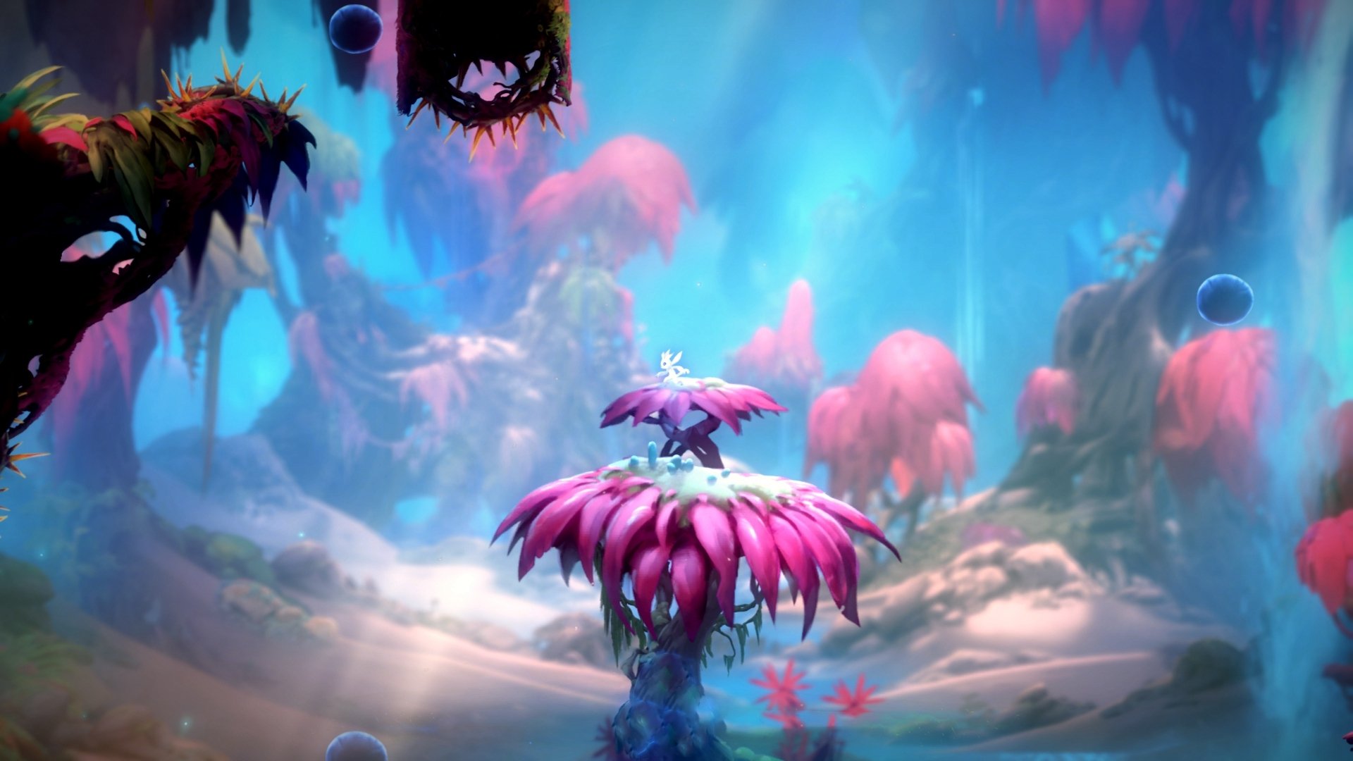 “意甲球队战绩飙升：争冠希望渐渐明朗”，意甲排各