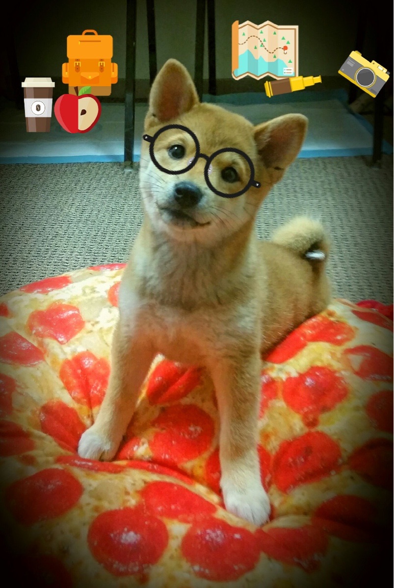 《电竞产业链中的创新创业机会：从硬件到内容全景分析》，电竞行业产业链的构成是什么