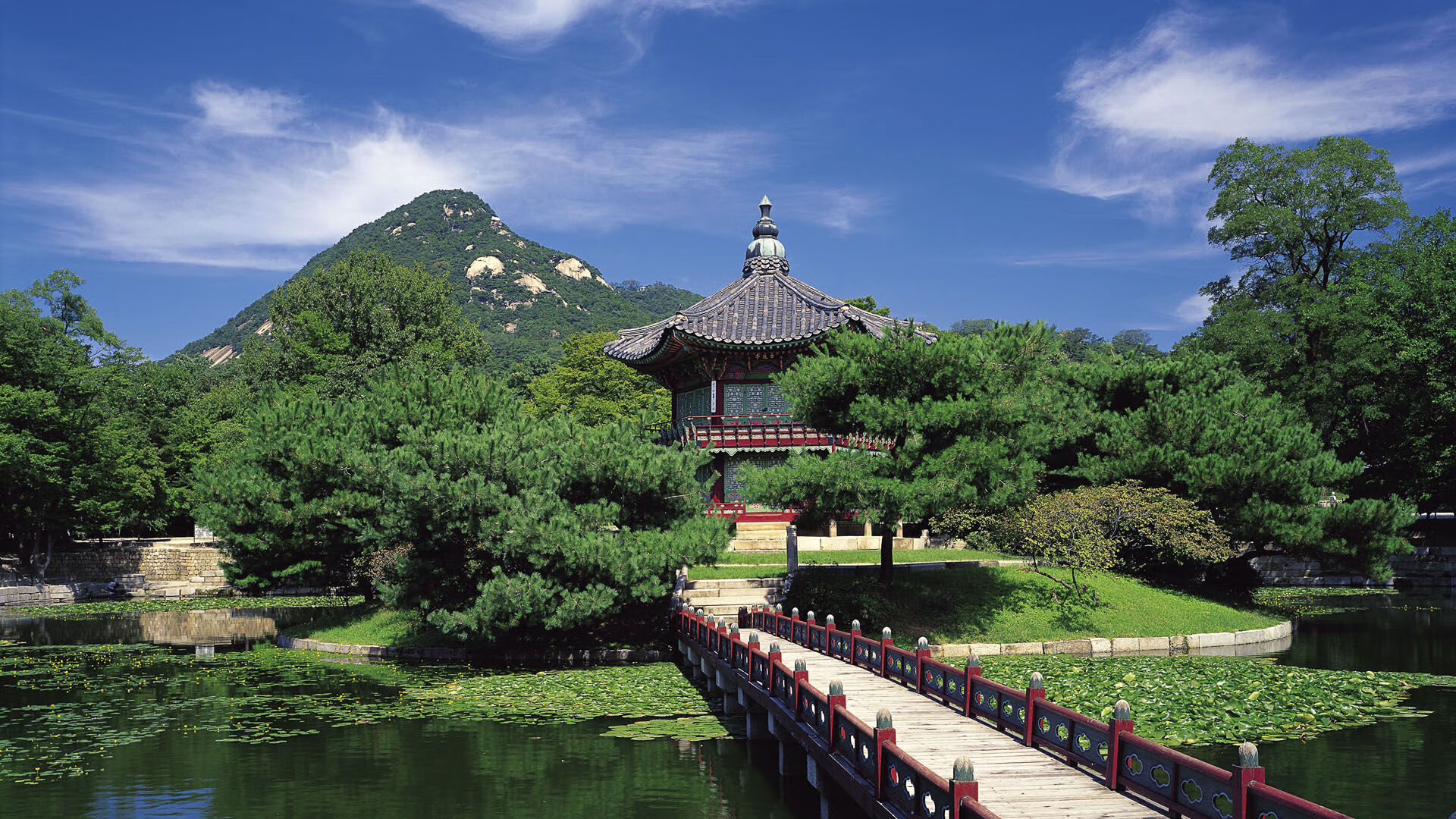 爱游戏app下载-《年度最具有人气战队，你支持哪个战队？》，王者荣耀人气战队