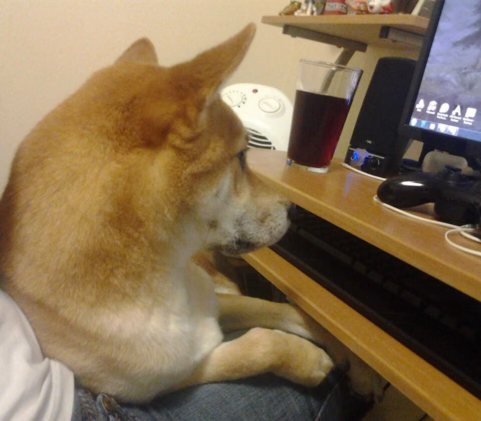 以“足球+科技”双轮驱动，探索智慧青训新模式，青年足球训练