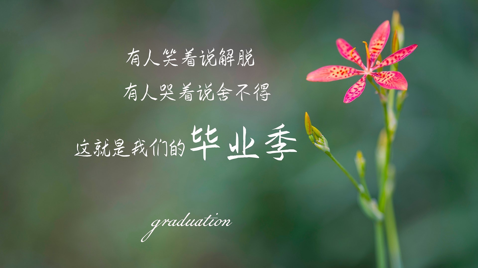 击鼓传风的比赛，势均力敌难分胜负，击鼓传音什么意思