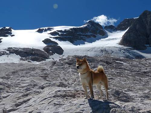 爱游戏app-利物浦在对阵纽卡斯尔的比赛中上演大逆转，利物浦vs纽卡斯尔视频直播