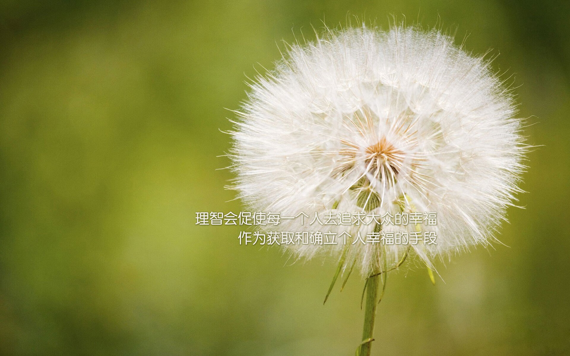 都灵遭受惨痛失利，劲敌斩获胜利迅速超越，都灵百科