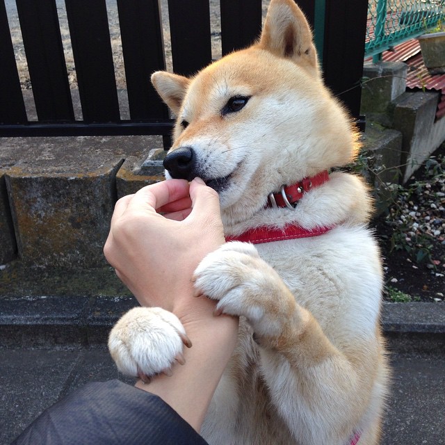 爱游戏-雄鹿队成员争相亮相时尚杂志封面，引发话题，雄鹿全队霸气合照