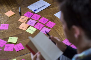 爱游戏娱乐平台-体育公益项目社会影响力研究，关于体育的公益项目