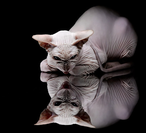 三分与突破结合最好的得分手，突破三分半