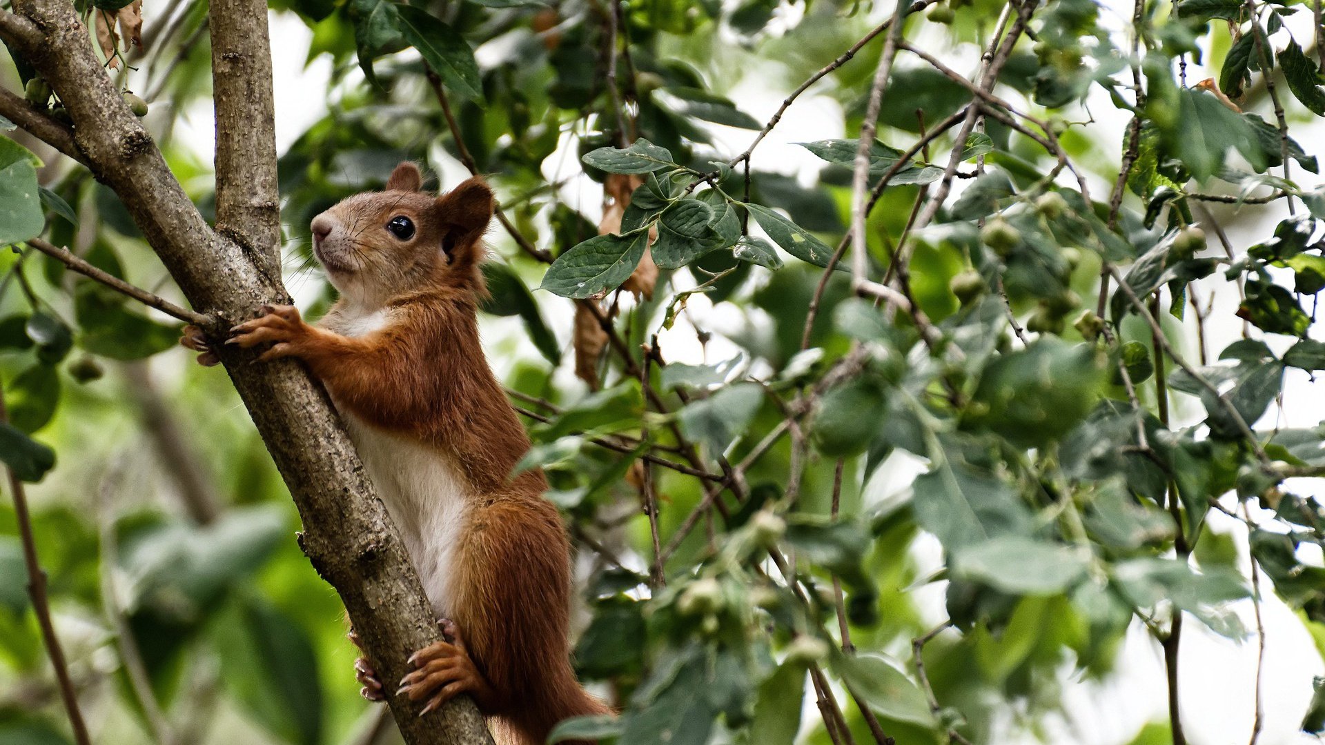 爱游戏体育（AYX）官方APP下载-中国香港选手横扫赛场，打破个人纪录，香港队员夺冠