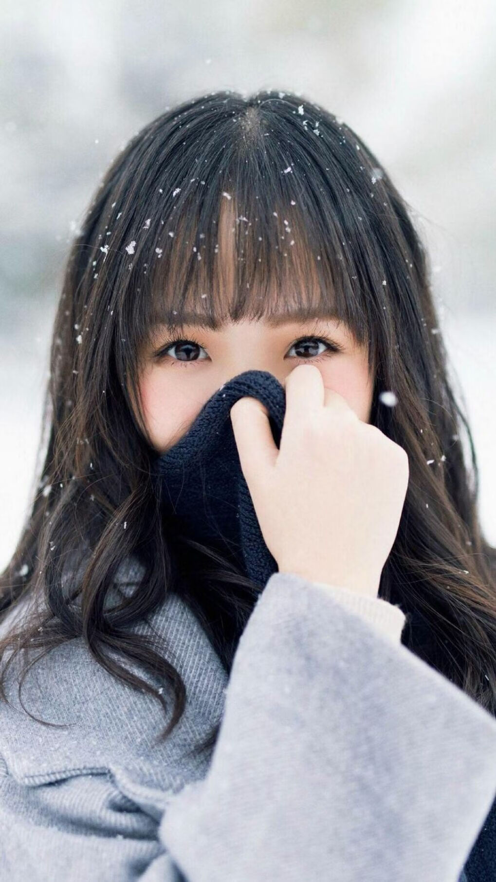 国际乒联混合团体世界杯赛制解读:德国队能否夺冠?,乒乓球团体赛德国队