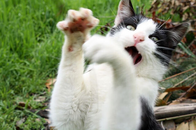 新疆男篮客场作战表现不俗体现成熟心态，新疆男篮现状