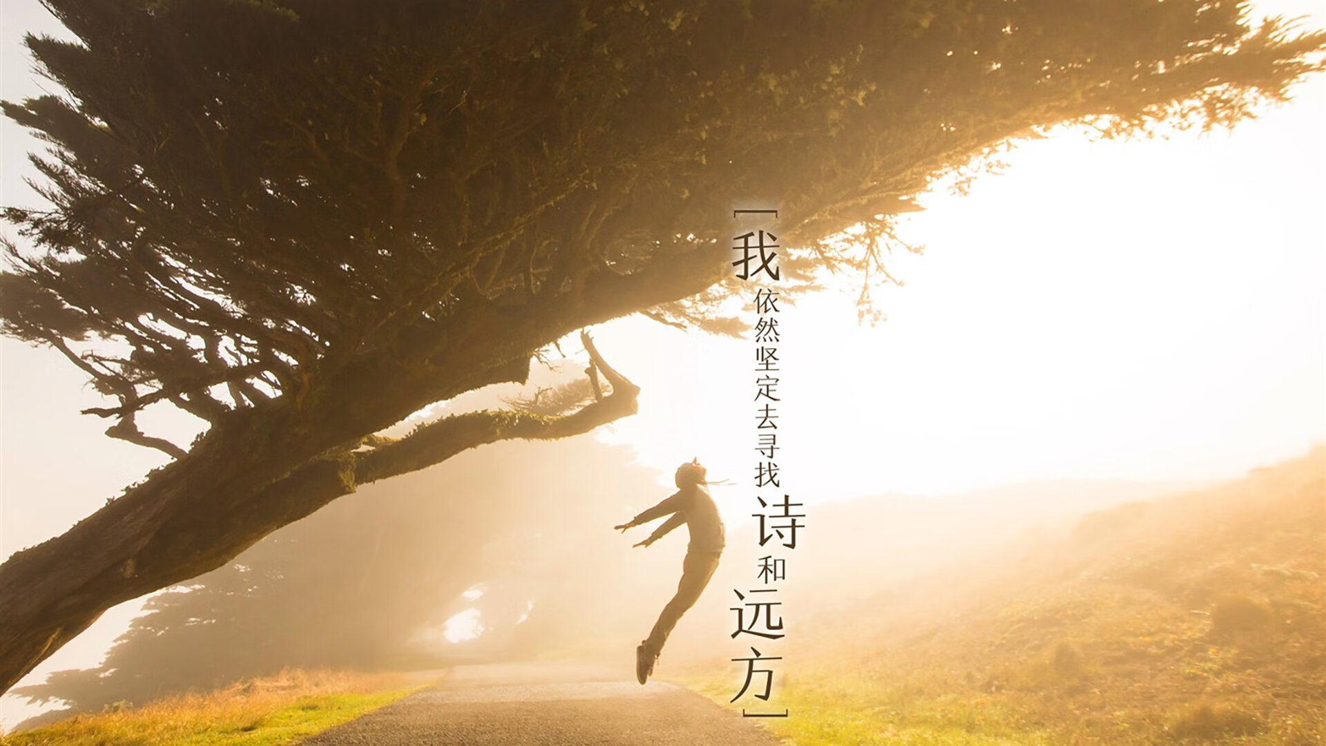 中国足球联赛优化球场周边城市交通协同计划,中国足球场地