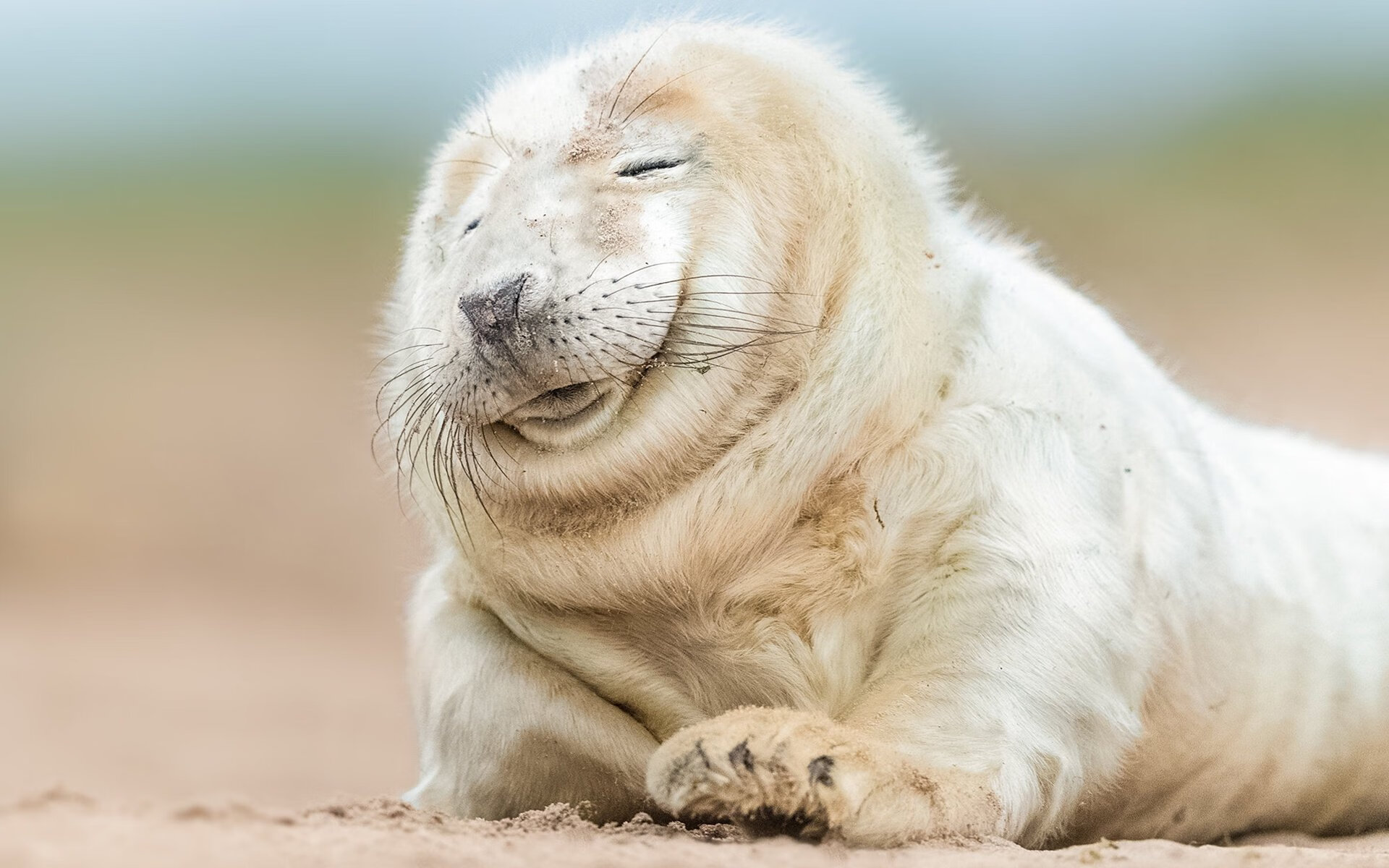 叶夫根尼娅·奇库诺娃化压力为动力,决赛逆转领先,叶夫根尼娅的书