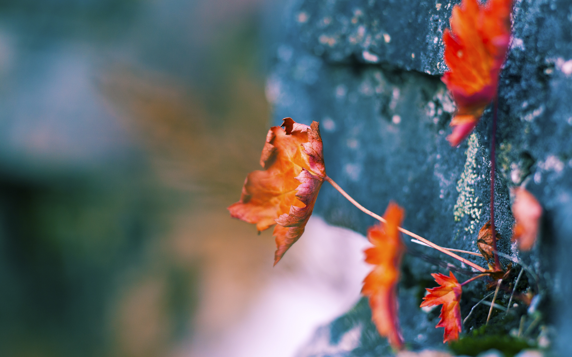 爱游戏官方-安哥拉男篮在非洲锦标赛中持续前行，体育水平不断提升