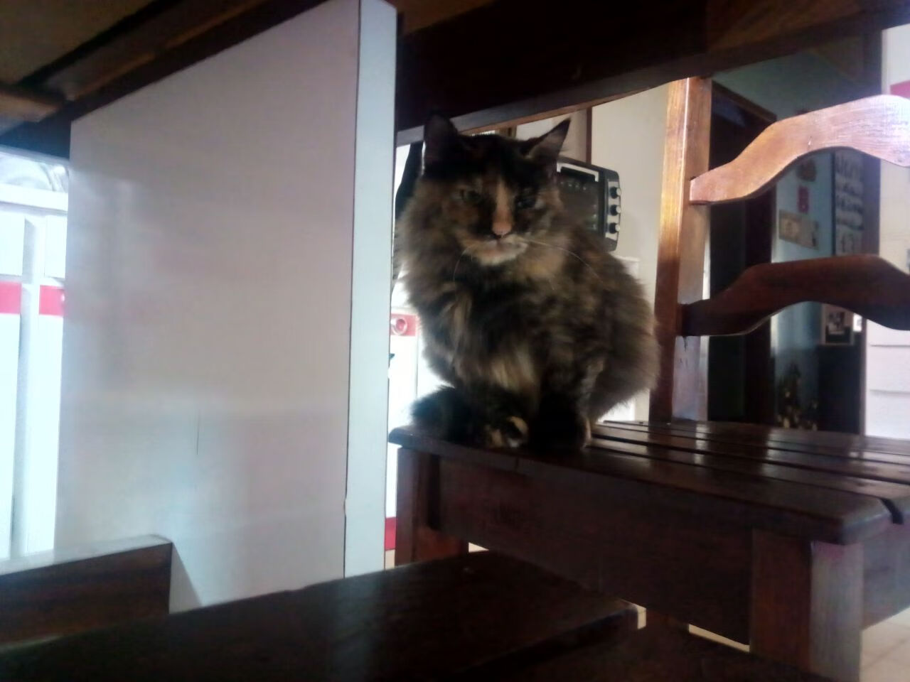 爱游戏娱乐-弗朗索瓦·霍尔茨豪伊泽：背后指挥的能手，关键时刻助南非队稳操胜券