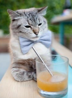 胡贝特·科斯稳步提升成绩赢得认可,胡安·贝坦科特现状