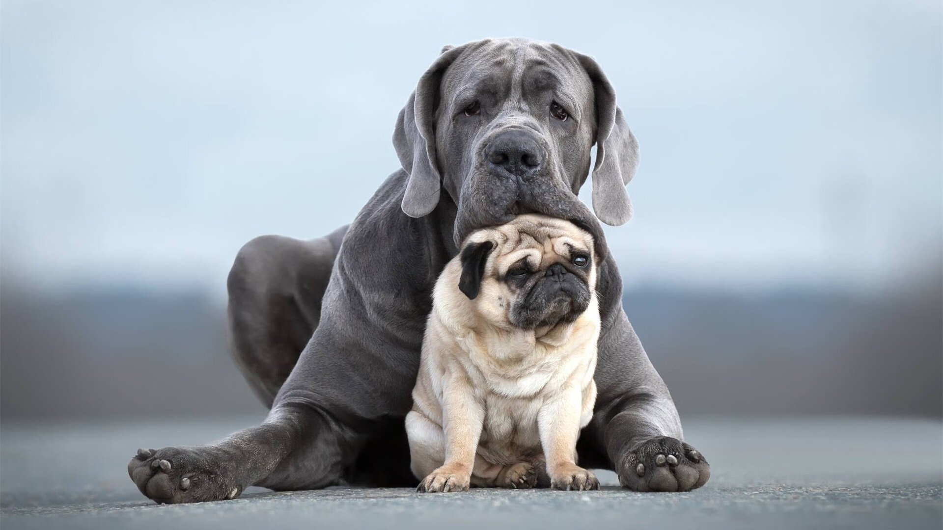 詹姆斯赛季场均得分创近三年新高,詹姆斯赛季总得分