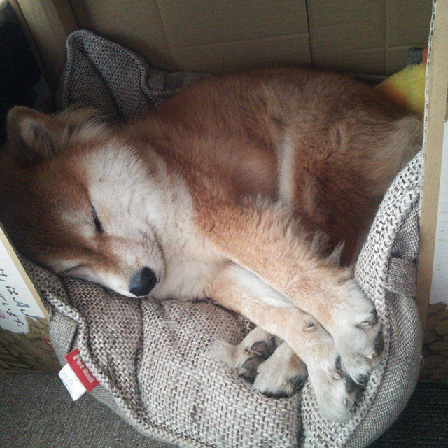 霍特·巴雷特:全黑队的“背后之王”,每次进攻都带来致命威胁