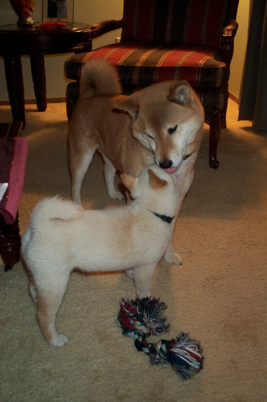 爱游戏在线登录入口-高校篮球积极开展国际交流提升比赛经验，校际篮球赛交流宣传标语